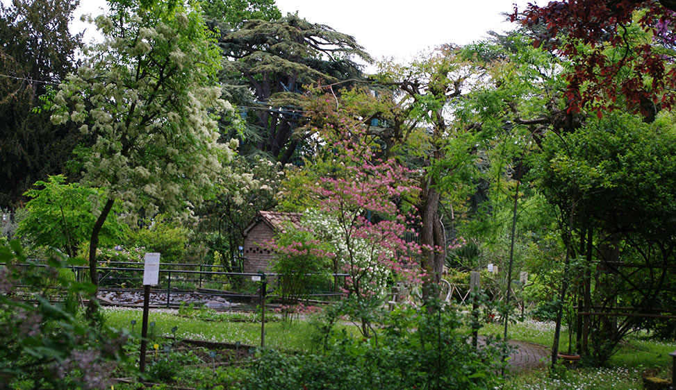 L’Orto botanico di Ferrara compie 250 anni Le celebrazioni coinvolgono cittadini e territorio