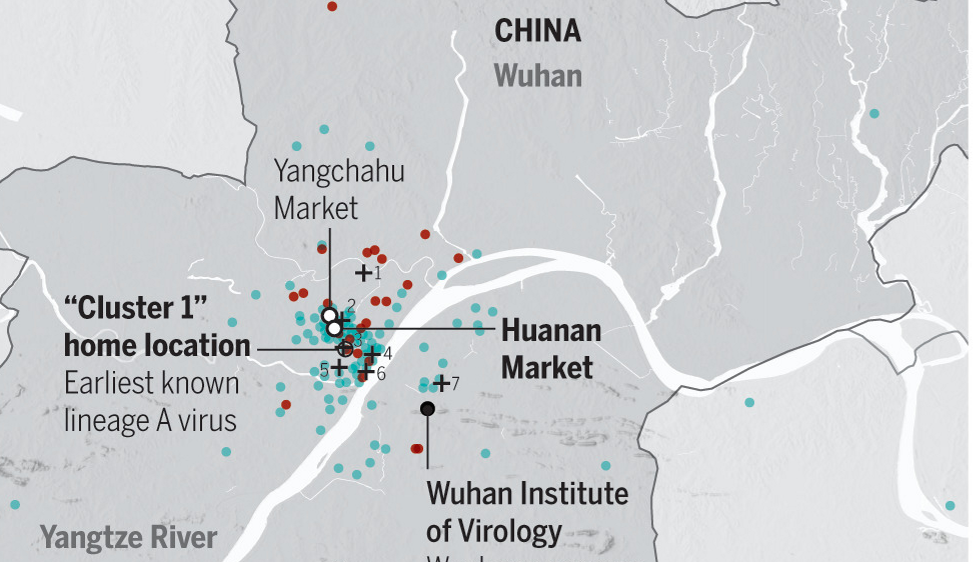 La pandemia di Covid-19 ha avuto origine a Wuhan