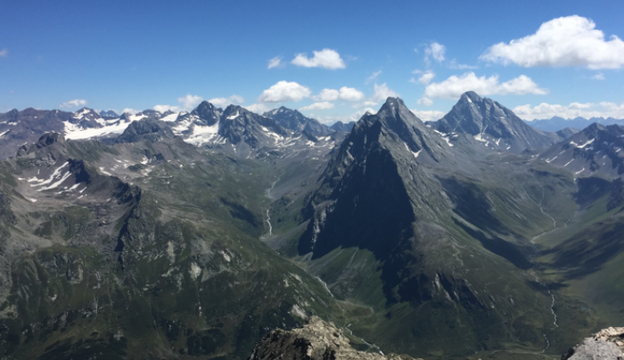Sulle Alpi, vegetazione al posto dei ghiacciai Più verde però non è meglio: temperature più alte, meno acqua e biodiversità. E la CO2 non cala