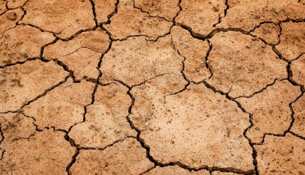 La grande sete. Sesta crisi idrica nell’arco di vent’anni Inverno siccitoso, alte temperature, ma anche una gestione inefficiente. A rischio agricoltura e acqua potabile. Servono interventi lungimiranti.