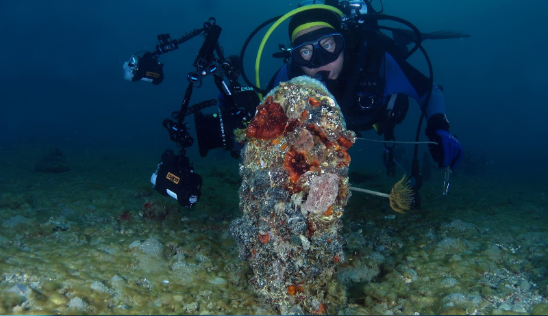 Mediterraneo: la Pinna nobilis salvata con l’aiuto della ricerca scientifica Torna la speranza per una specie chiave dell’ecosistema marino