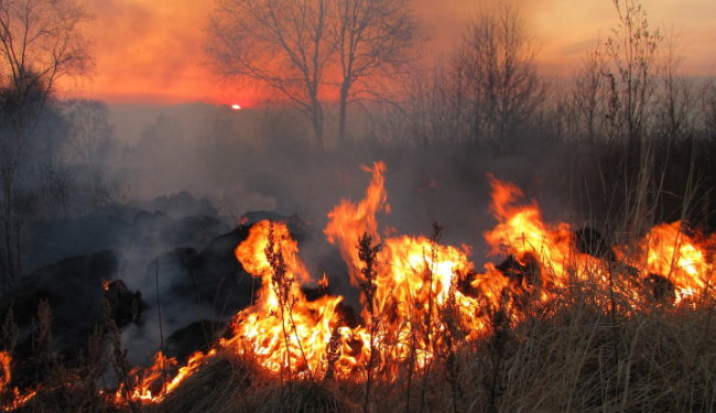 Anno record di incendi in Europa (1) Numero e vastità degli incendi aumentano ogni anno. Colpa del clima, secondo Giovanni Bacaro dell'Università di Trieste. Ma possiamo invertire la tendenza