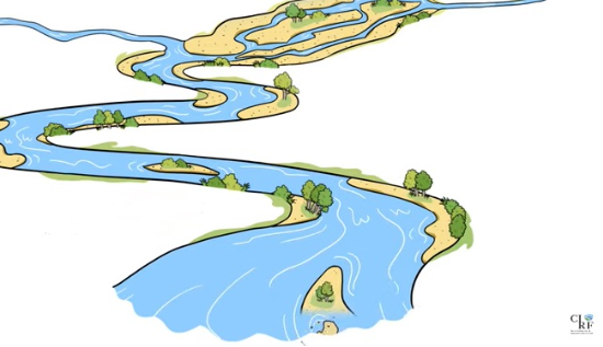 Solo un fiume “libero” protegge dalle piogge estreme Secondo Laura Leone, presidente del Centro italiano per la riqualificazione fluviale, servono meno opere e più soluzioni nature-based