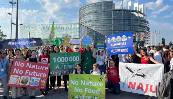 Il Parlamento europeo dice sì alla legge per il ripristino della natura Nonostante alcuni tagli su agricoltura e torbiere la Restoration Law tutelerà il 20% dei territori Ue